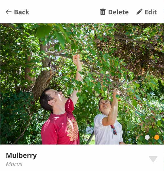 Screenshot of a mulberry location with buttons to delete or edit