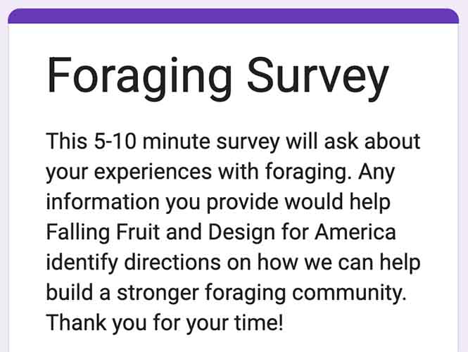 Screenshot of survey form header