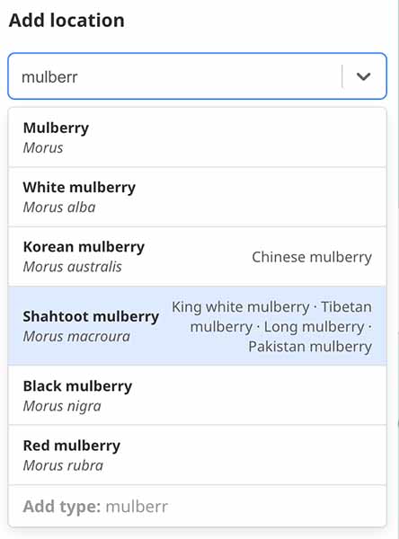Screenshot of a dropdown search for mulberries showing synonyms and the option to add a new type