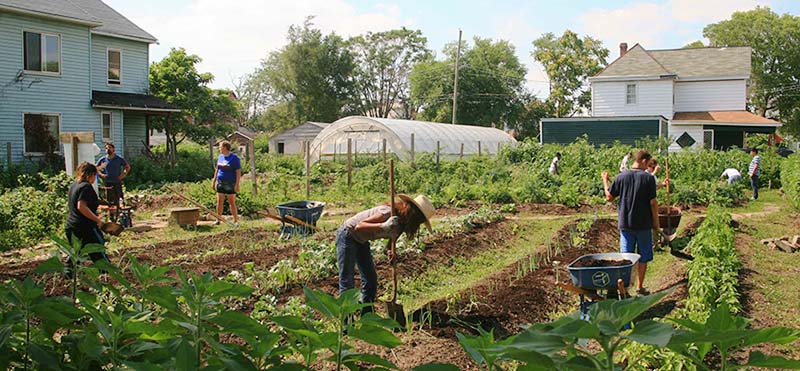 Course participants help tend to crops at Franklinton Farms