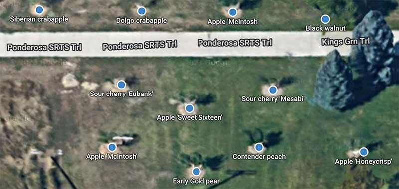 Screenshot of an orchard planted by Billing Montana's Parkland Gleaning Project on the Falling Fruit map