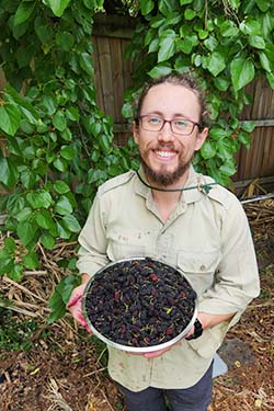 Mark Udovitch with a bowl of mulberries picked from the tree behind him overhanging a fence
